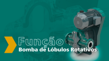 Function of a Rotary Lobe Pump From NETZSCH