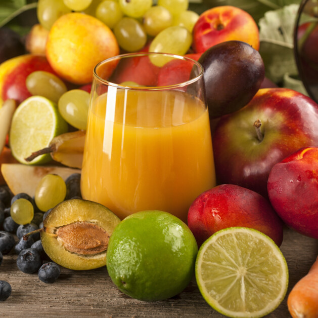 Pumps for Fruit Juice Pulp Processing Industry NETZSCH Pumps & Systems