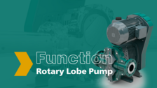 Function, Rotary Lobe Pump, NETZSCH, Pumps, Systems