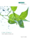Umwelt & Energie