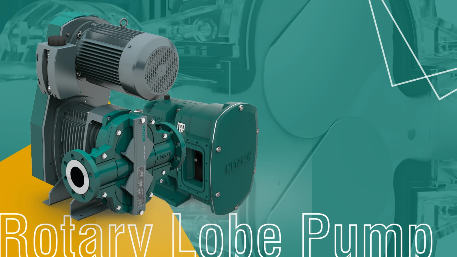 Rotary Lobe Pump, NETZSCH, Pumps, Systems