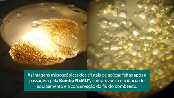Imagens microscópicas dos cristais do açúcar