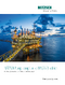 NETZSCH API676 3rd Edition