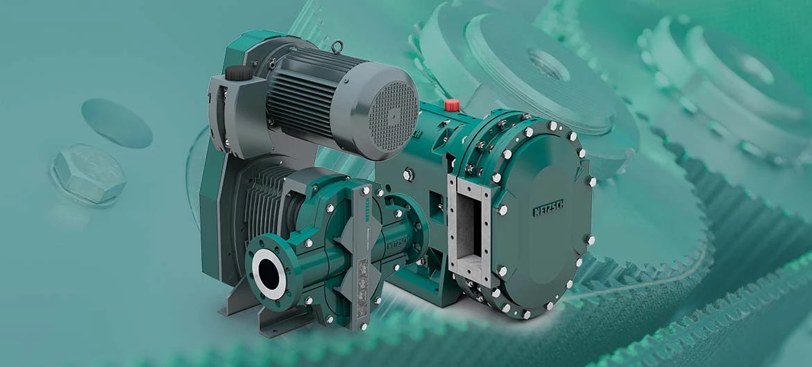 Rotary Lobe Pump Advantages: High Power, Compact Design and Easy Service