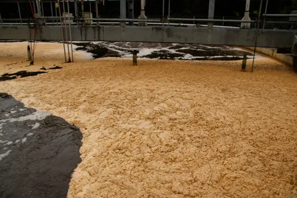 High-solids sludge cake covers a wastewater treatment area, highlighting challenges in pumping and material transport.