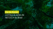 Dia da Árvore: conheça as ações da NETZSCH do Brasil