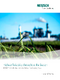 Sugar Manufacturing