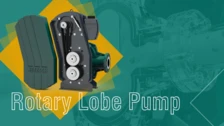 Rotary Lobe Pump, NETZSCH, Pumps, Systems