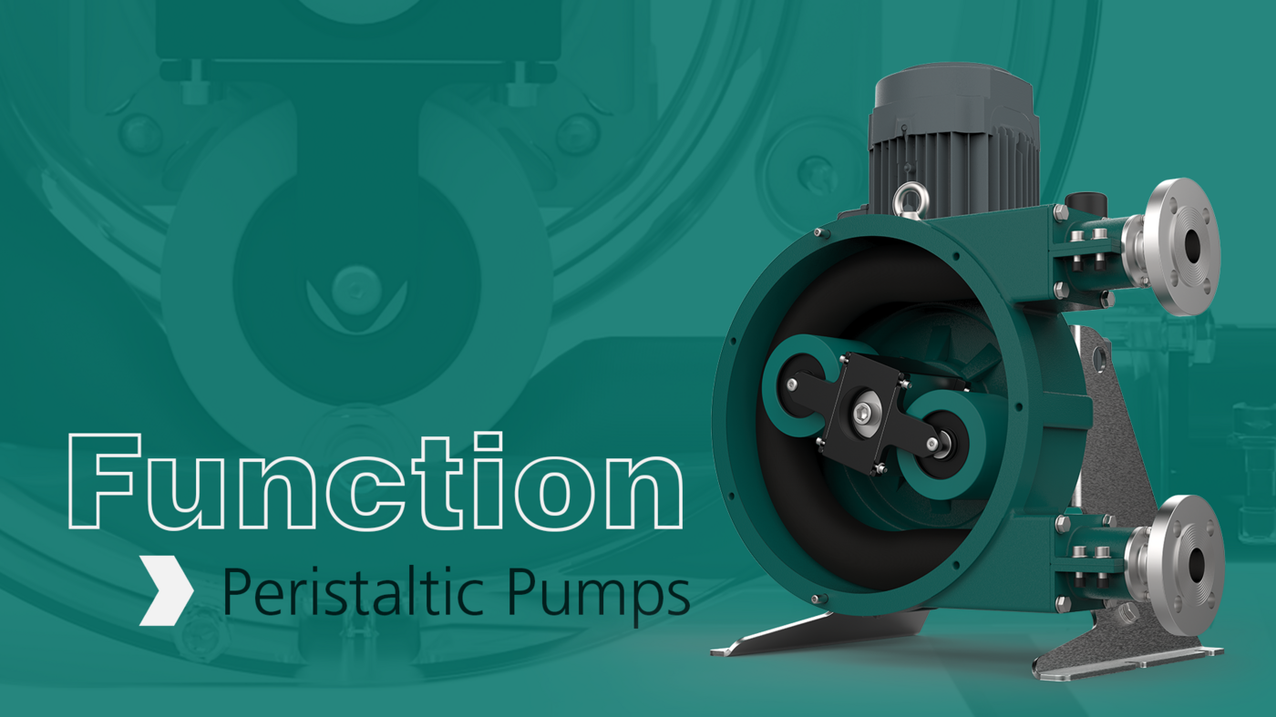 Function of a Peristaltic Pump NETZSCH Pumps & Systems