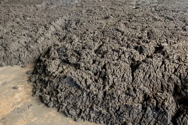 Thick, dark dehydrated sewage sludge with high solid content, showing dense, cracked texture in a treatment plant setting.