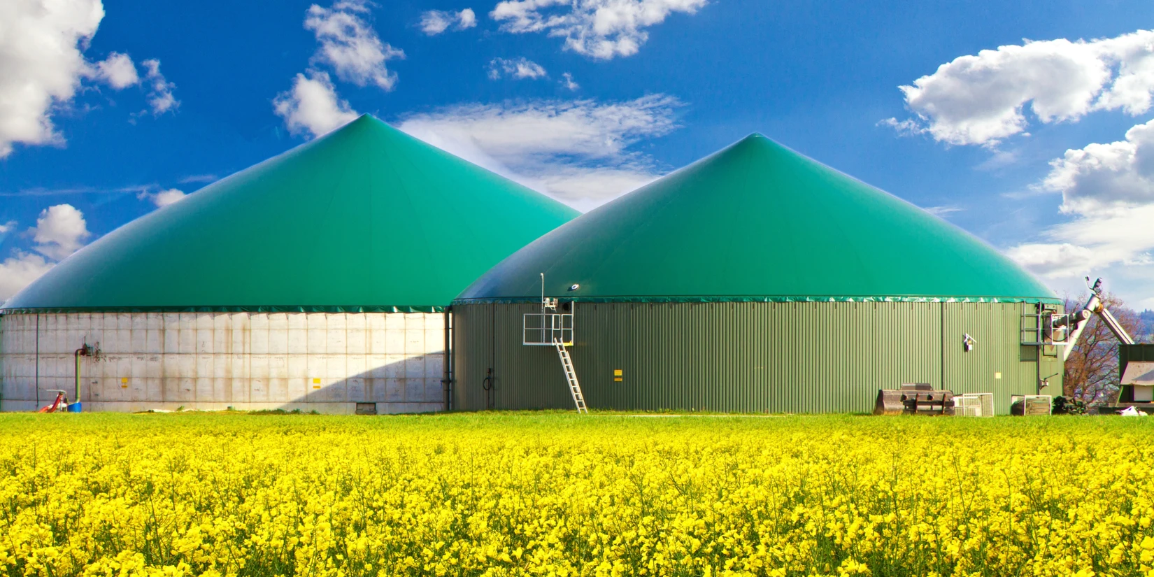 Seamless Operation of NETZSCH’s TORNADO® Rotary Lobe Pump in Biogas Plants