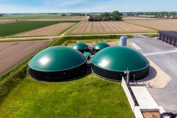 Biogas, NETZSCH, Pumps, Systems