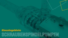 Schraubenspindelpumpe im Einsatz zeigt robuste Bauweise und hohe Effizienz für anspruchsvolle Förderaufgaben in verschiedenen Industrien.