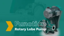 Function of a Rotary Lobe Pump From NETZSCH