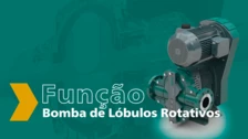 Function of a Rotary Lobe Pump From NETZSCH