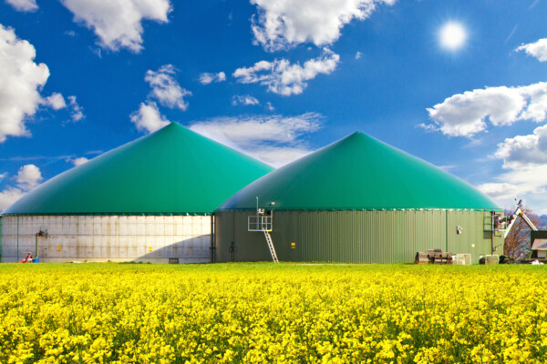 NEMO® B.Max Progressing Cavity Pump Convinces Through Its Robustness in Biogas Plants